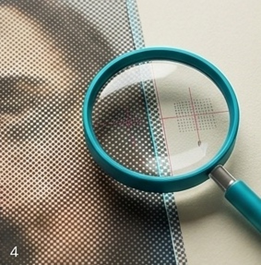 Raster trap fotoğrafı